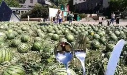 北京朝阳吃瓜,瓜界风云录，美食地图大揭秘